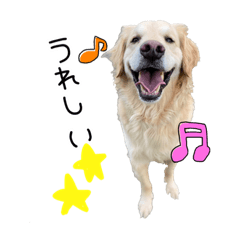 [LINEスタンプ] うちのゴンタ