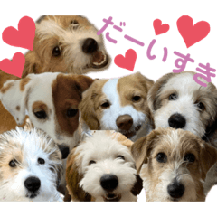 [LINEスタンプ] はじめましてパンファミリー