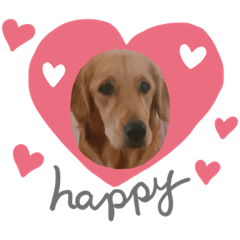 [LINEスタンプ] nicoびより☺︎