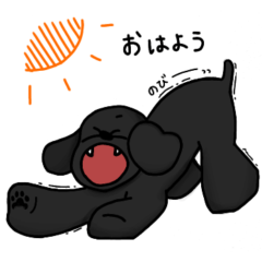 [LINEスタンプ] ブラックプードル1