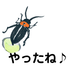 [LINEスタンプ] ほ・ほ・ほたる