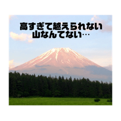[LINEスタンプ] ふぉとふぉと