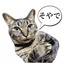 [LINEスタンプ] 俺たちのミミちゃん