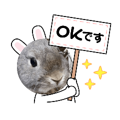 [LINEスタンプ] うさぎのここ日常
