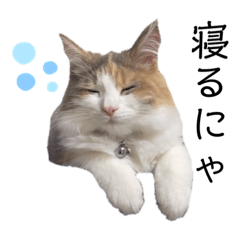 [LINEスタンプ] シエル6