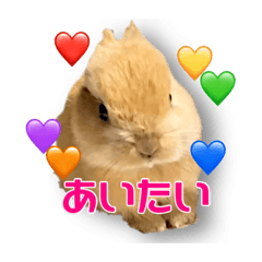 [LINEスタンプ] ドンちゃん スタンプ2