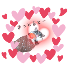 [LINEスタンプ] momonga鼯鼠