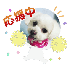 [LINEスタンプ] 日常で使えるU^ェ^Uのスタンプ  NO.2