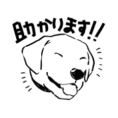 [LINEスタンプ] 連絡用犬と猫