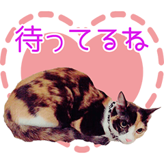 [LINEスタンプ] 呑気なだいふくちゃん