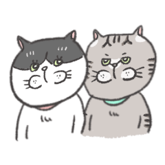 [LINEスタンプ] 南国ねこ 使えるスタンプ