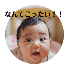 [LINEスタンプ] ぽにょ3