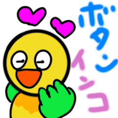 [LINEスタンプ] インコ  ボタンの カワイイスタンプ❤️