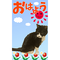 [LINEスタンプ] 可愛い我が子 2