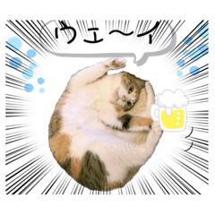 [LINEスタンプ] おとぼけちーにゃんとその仲間たち2