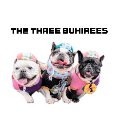 [LINEスタンプ] THE  THREE  BUHIREES  2