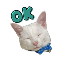 [LINEスタンプ] 中村幼稚園