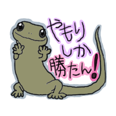 [LINEスタンプ] 家を守る子やもりん☆日常で使えるスタンプ