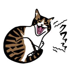 [LINEスタンプ] きじしろかぎしっぽねこのきなお