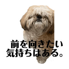 [LINEスタンプ] ぼやけわんこ。