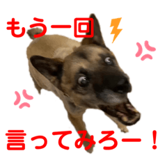 [LINEスタンプ] 紫友会 拓海のツンデレ珍道中✨