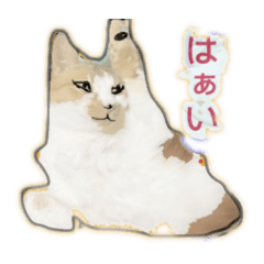 [LINEスタンプ] テレビ見るアン