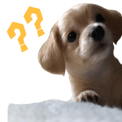 [LINEスタンプ] チワックスのころも