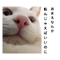 [LINEスタンプ] ねこにゃ日和〜その3
