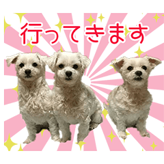 [LINEスタンプ] 雛、姫、愛