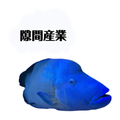 [LINEスタンプ] 使いやすいね！ナポフィ