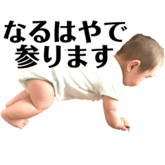 [LINEスタンプ] しょうちゃん家の日常会話【関西弁mix】