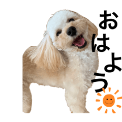 [LINEスタンプ] あたしの愛犬