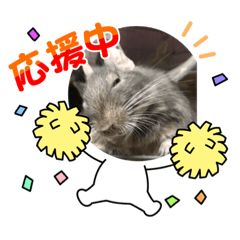 [LINEスタンプ] くるるちゃん登場！？ 今回もこなしてね