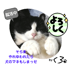 [LINEスタンプ] 保護猫黒ちゃんと愉快な仲間たち2