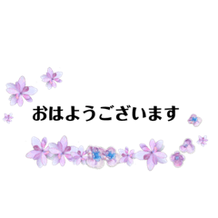 [LINEスタンプ] 紫陽花スタンプ紫陽花だらけ