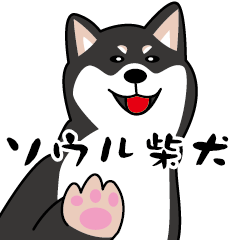 [LINEスタンプ] ソウル柴犬