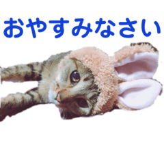 [LINEスタンプ] けんちゃんのかわいいすたんぷ2