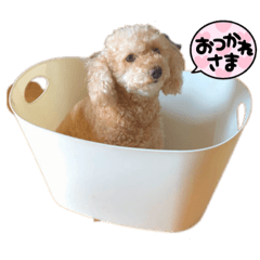 [LINEスタンプ] 茶々さんスタンプ1