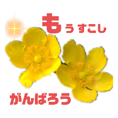 [LINEスタンプ] ポジティブスタンプあいうえお(後半)