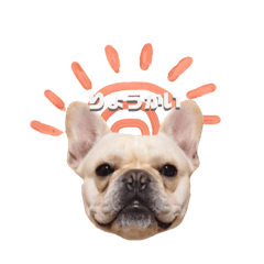 [LINEスタンプ] ❤︎風太朗のまいにち❤︎