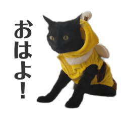 [LINEスタンプ] 黒猫のひとこと（part2）