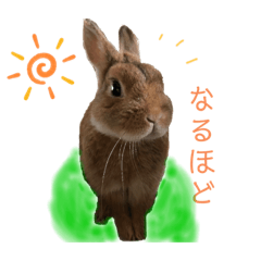 [LINEスタンプ] もふ丸 同盟