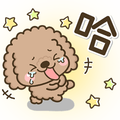 [LINEスタンプ] 每天貼圖超可愛♡Q毛小貴賓