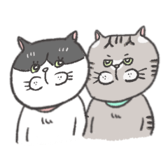 [LINEスタンプ] きじとら猫 はちわれ猫 使えるスタンプ