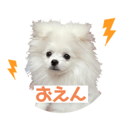 [LINEスタンプ] みるくんの岡山弁スタンプ