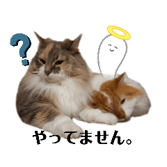 [LINEスタンプ] 福猫＆花猫〜第8弾〜