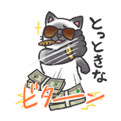 [LINEスタンプ] かわいいサマザマナネコチャン