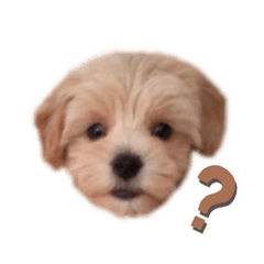 [LINEスタンプ] みんなだいすき！ヒナえもん