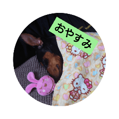 [LINEスタンプ] rinhappyhappy