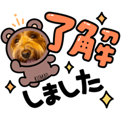[LINEスタンプ] お友達♡くまおさん